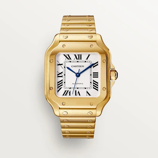 Santos De Cartier Medium Silvered dial